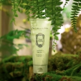 Молочко для тіла Зелений чай та Імбир Body Lotion Ginger Green Tea LA SULTANE DE SABA Обʼєм 200 мл — фото 3