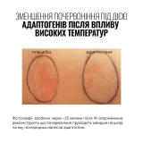 Відновлюючий крем з керамідами і комплексом пре- та пробіотиків SuperBiotic Plant-Based Ceramide Cream INSTYTUTUM Обʼєм 50 мл — фото 3