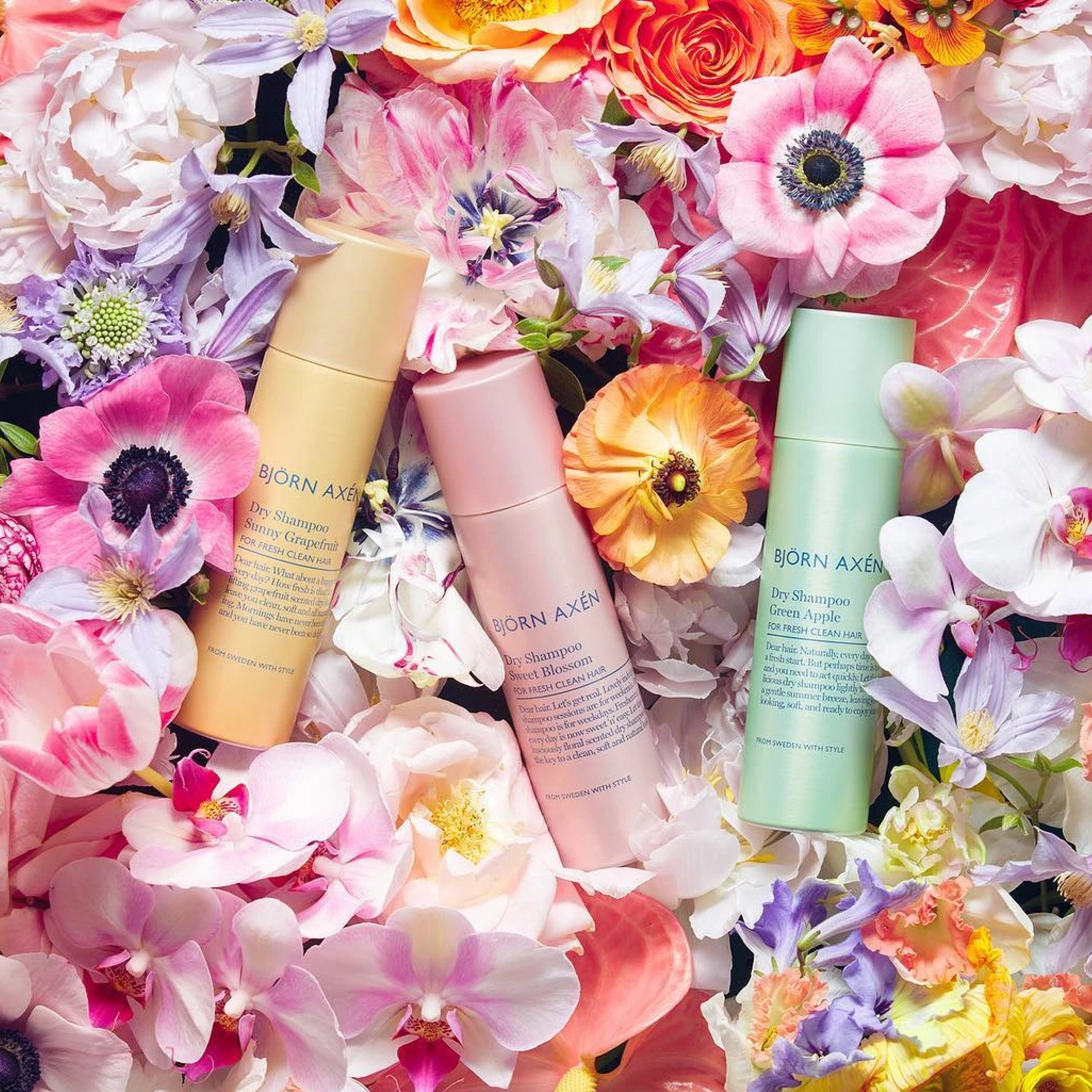 Сухой шампунь "Сладкий цвет" Dry Shampoo Sweet Blossom BJÖRN AXÉN Объем 150 мл — фото 7