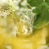 Туалетная вода L'Eau Revee D'Hubert SISLEY PARIS Объем 100 мл — фото 3