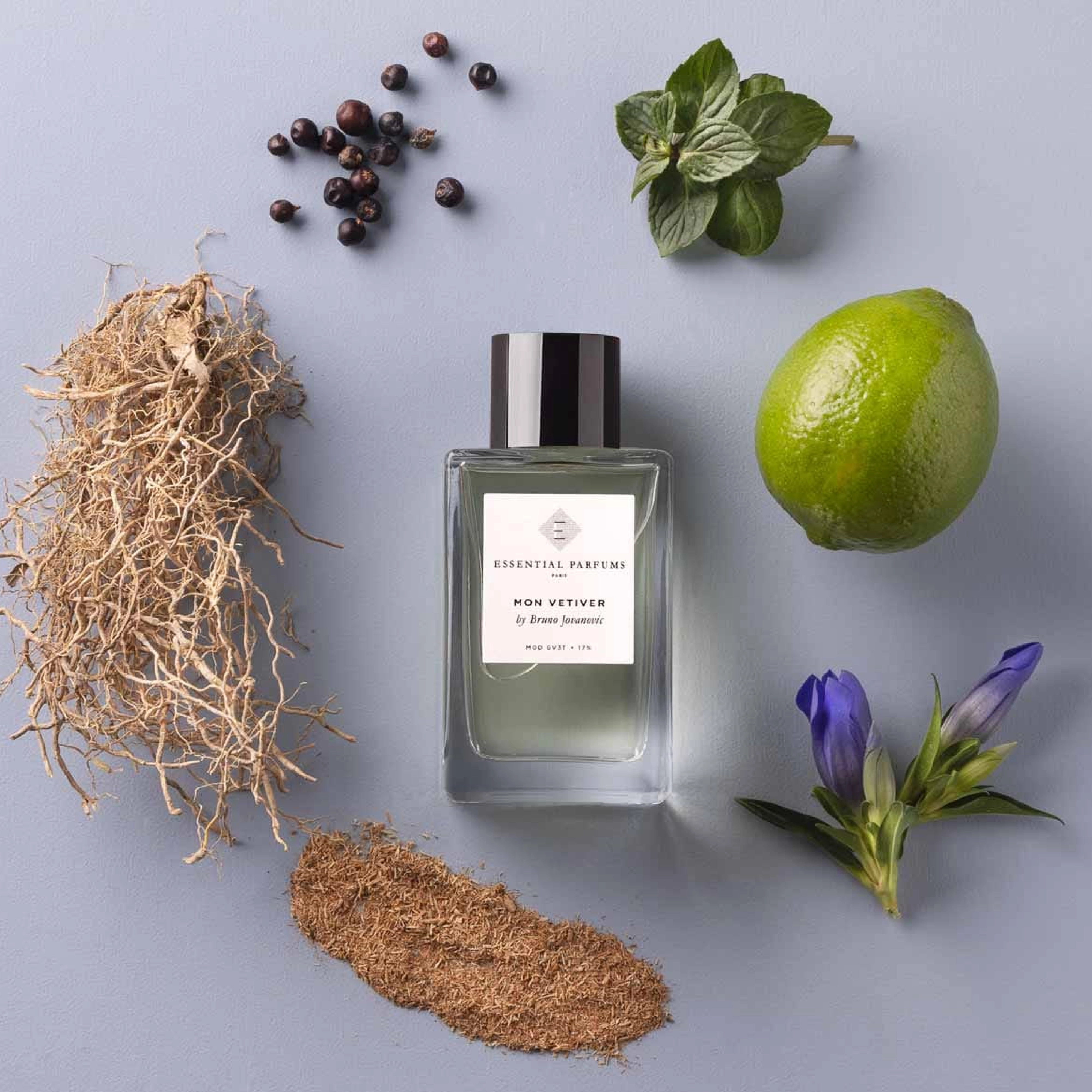 Парфумована вода Mon Vetiver ESSENTIAL PARFUMS Обʼєм 100 мл — фото 3