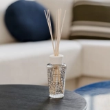 Аромадифузор з ароматом горіха, амбри та ветівера Diffuser My First Baobab Platinum BAOBAB COLLECTION Обʼєм 250 мл — фото 2
