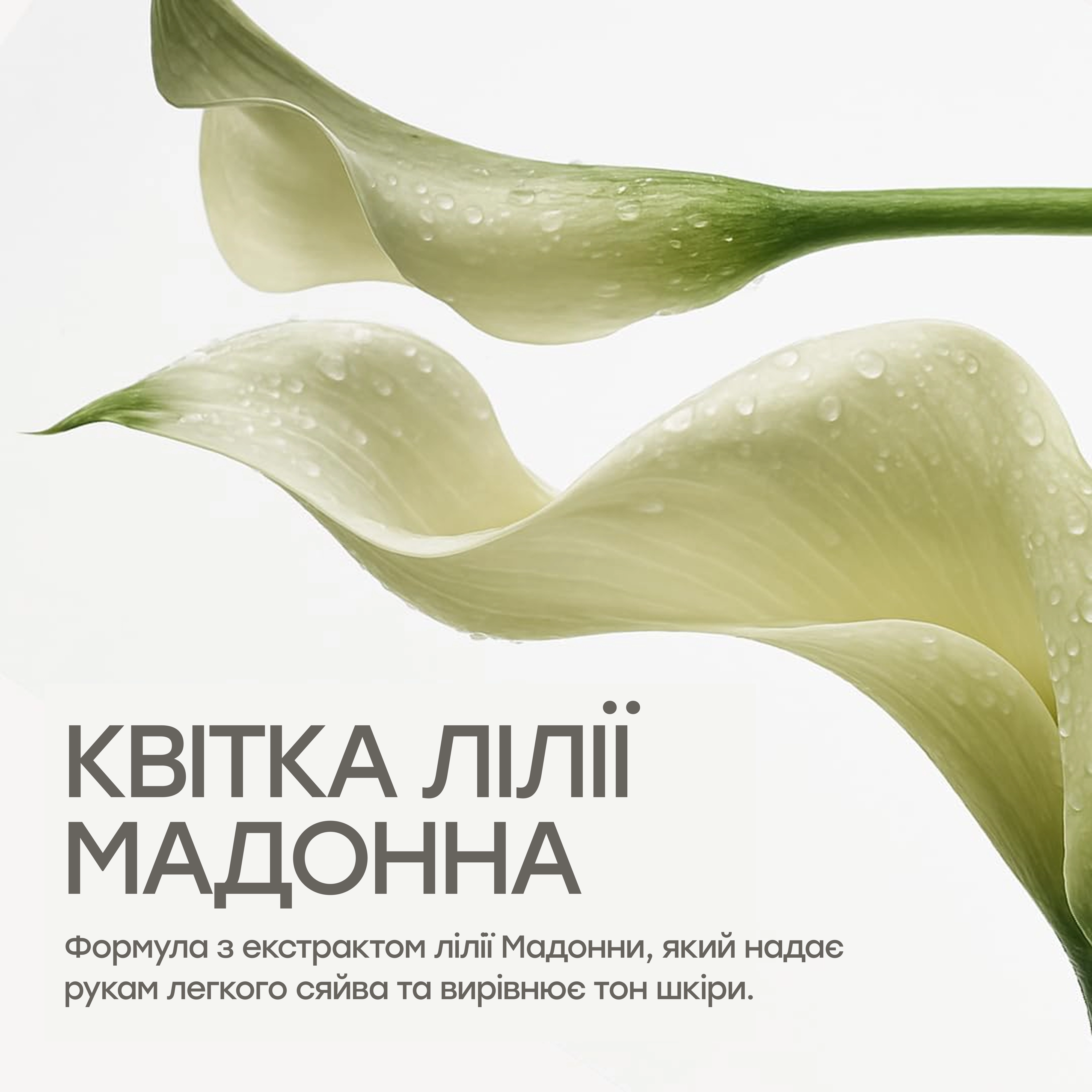 Парфюмированный крем для рук At Her Apartment Hand Cream KEYTH Объем 70 мл — фото 3