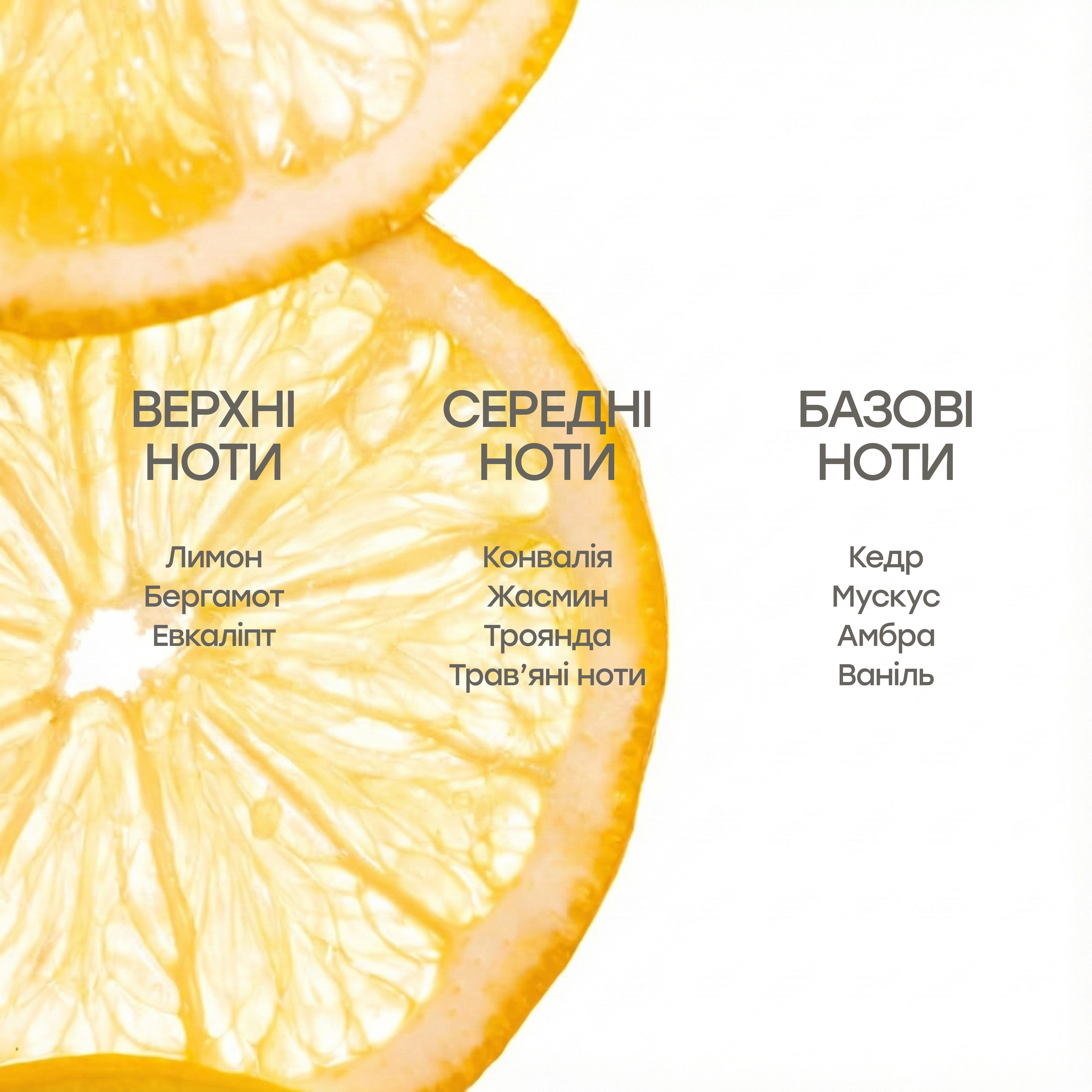 Парфюмированный крем для рук At Her Apartment Hand Cream KEYTH Объем 70 мл — фото 5