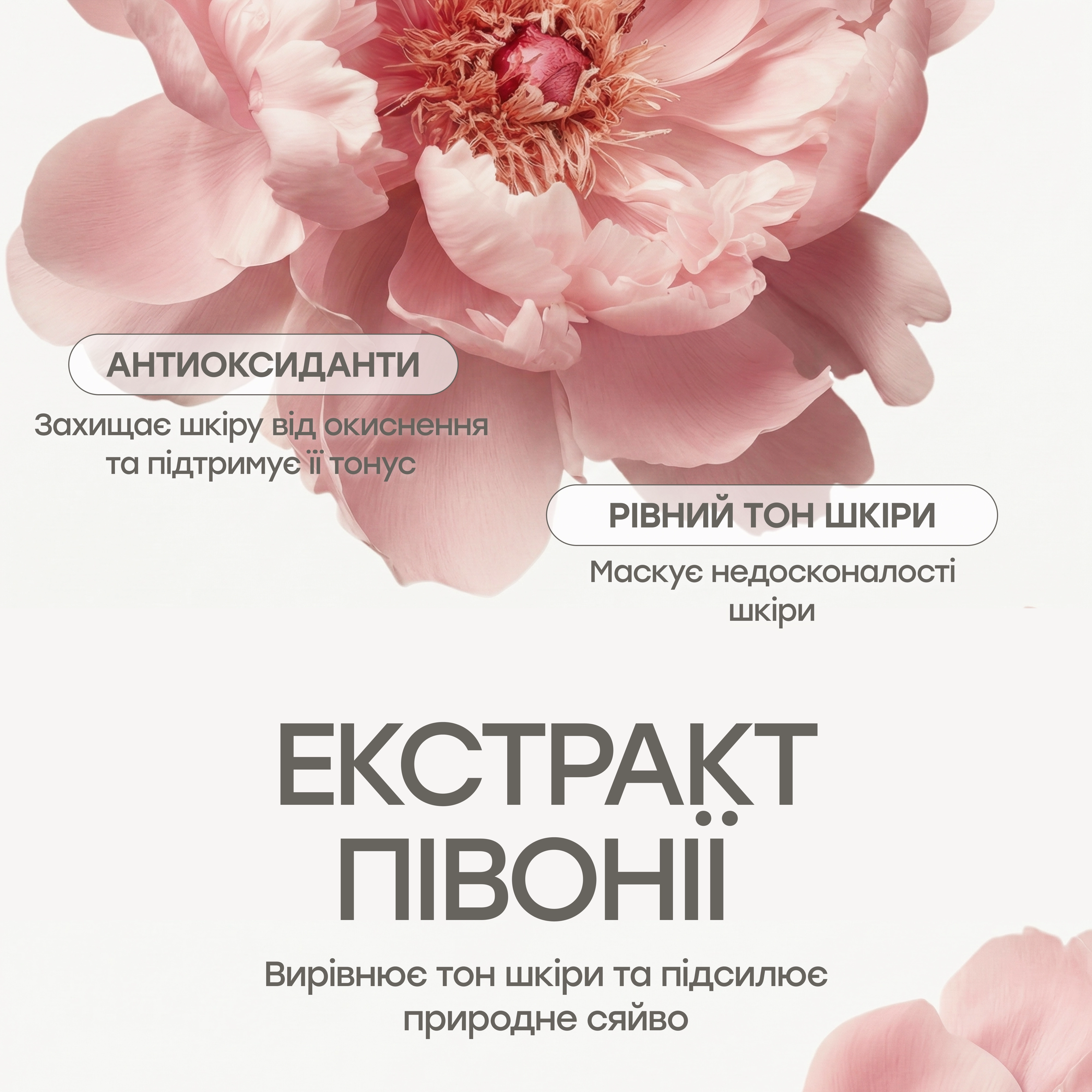 Кремовий консилер для маскування недоліків Cream Touch Concealer Foundation KEYTH Відтінок 01 — фото 6