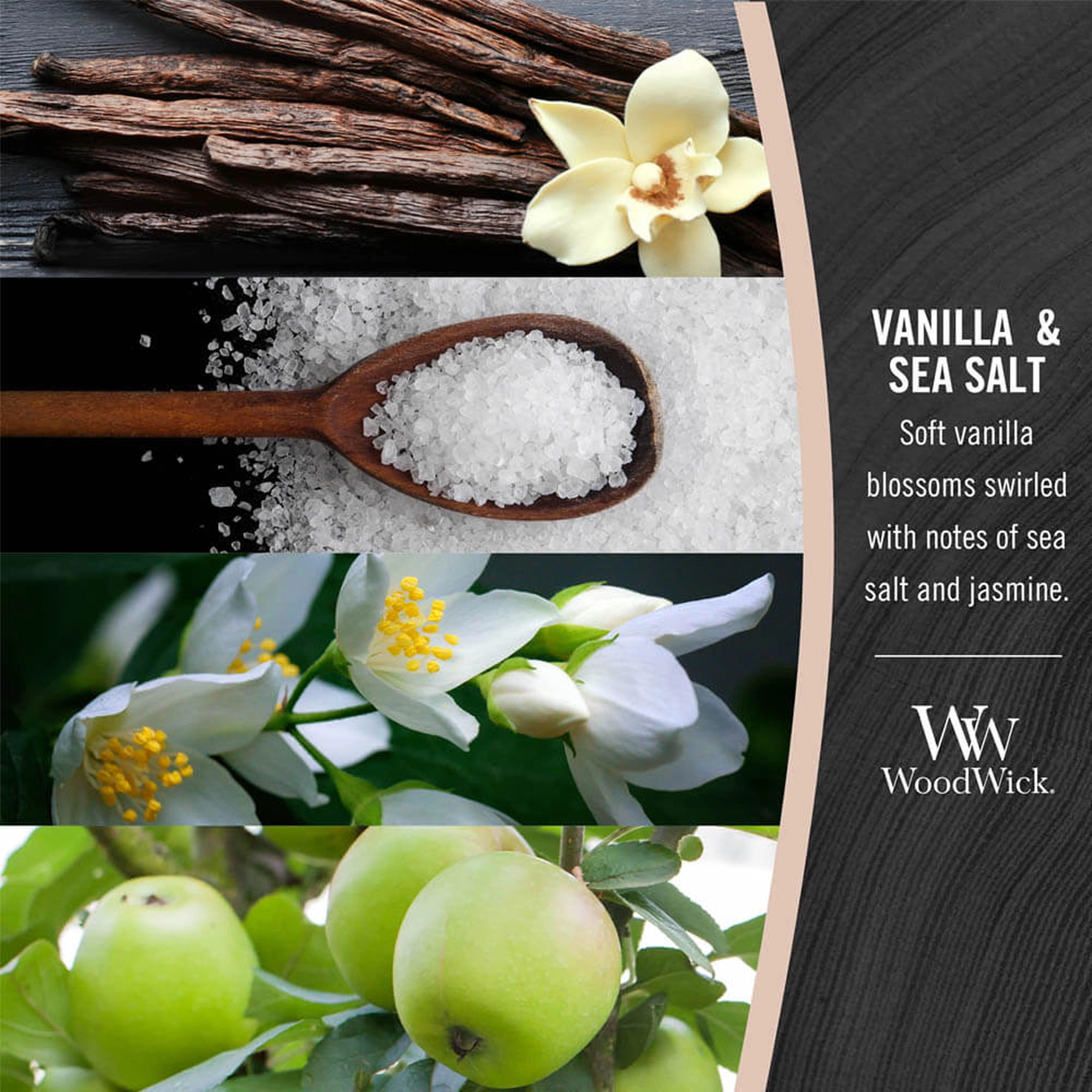 Ароматична свічка з ароматом ванілі та морської солі Mini Vanilla & Sea Salt WOODWICK Вага 85 г — фото 3