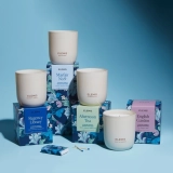 Аромасвічка Regency Library Candle ELEMIS Вага 220 г — фото 3