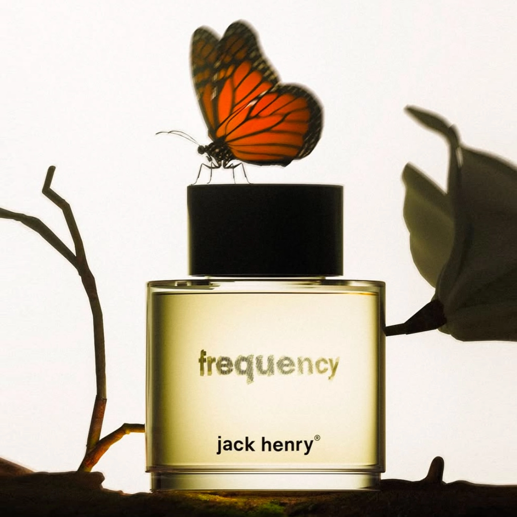 Парфюмированная вода Frequence Eau De Parfum JACK HENRY Объем 50 мл — фото 3