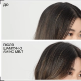 Очищувальний шампунь для жирної шкіри голови Amino Mint Shampoo REDKEN Обʼєм 300 мл — фото 5