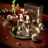Лімітований набір для догляду за руками у хромованому дизайні Hand Care Set: Chrome Edition GROWN ALCHEMIST — фото 7