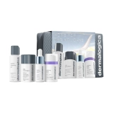 Набор «Бестселлеры в путешествие» Home For The Holidays DERMALOGICA