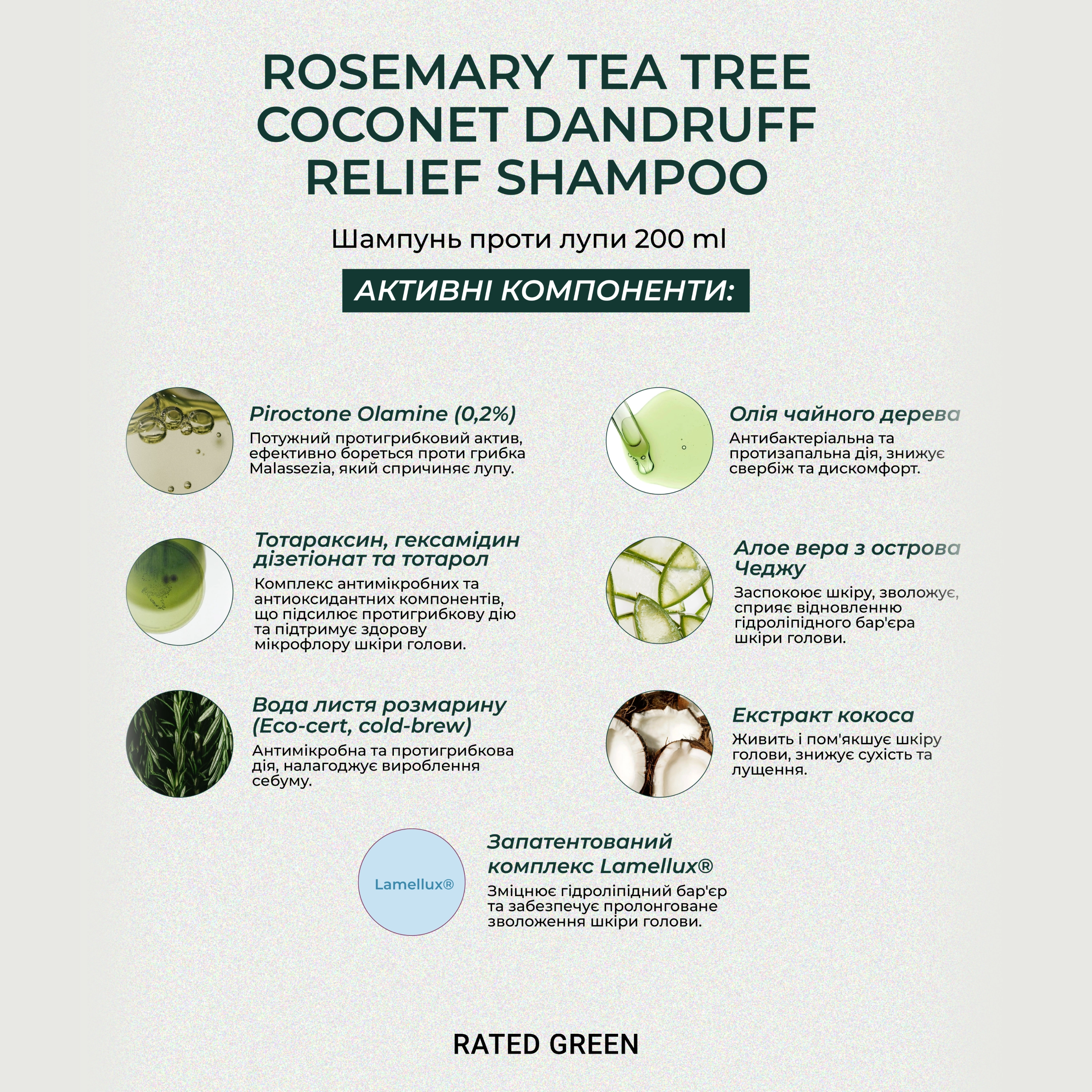 Шампунь проти лупи Rosemary Tea Tree Coconet Dandruff Relief Shampoo RATED GREEN Обʼєм 200 мл — фото 6