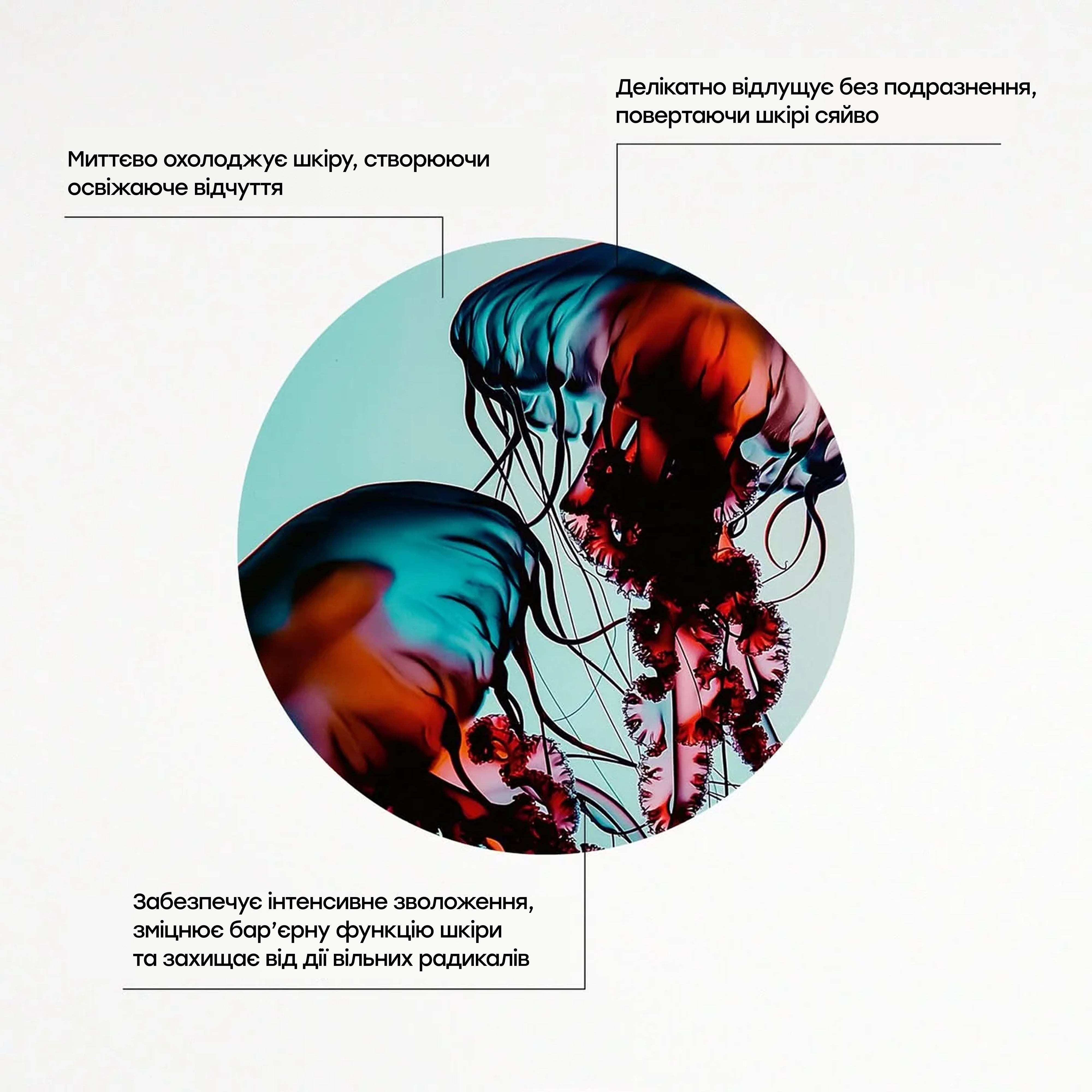 Увлажняющие пады с муцином медузы для сияния и гладкости кожи The Hydra Pads – Daily Hydrating Exfoliation Pads MANTLE — фото 5