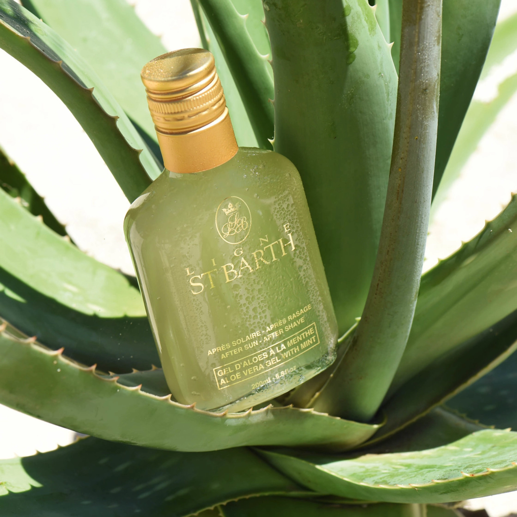 Заспокійливий гель з алое вера та м’ятою Aloe Vera Gel With Mint After Sun - After Shave LIGNE ST. BARTH Обʼєм 200 мл — фото 4