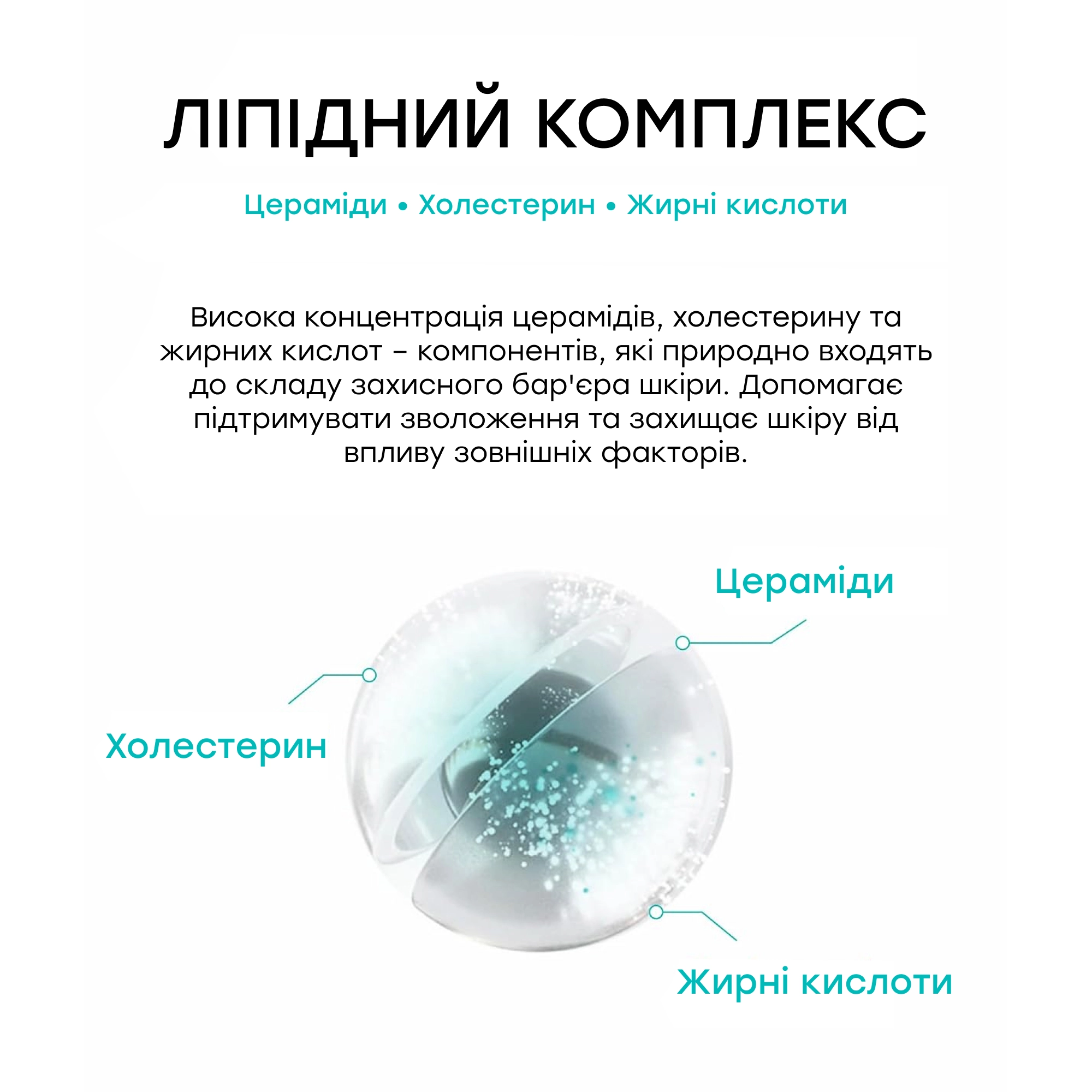 Зволожувальний крем для відновлення захисного бар'єра Moisture Cream REJURAN Вага 60 г — фото 7