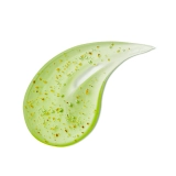 Освіжаючий шампунь для волосся Lime Sunday Refresh Shampoo ANILLO Обʼєм 450 мл — фото 2