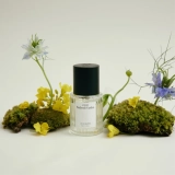 Парфумована вода Patchouli Garden Eau de Parfum ANILLO Обʼєм 10 мл — фото 2