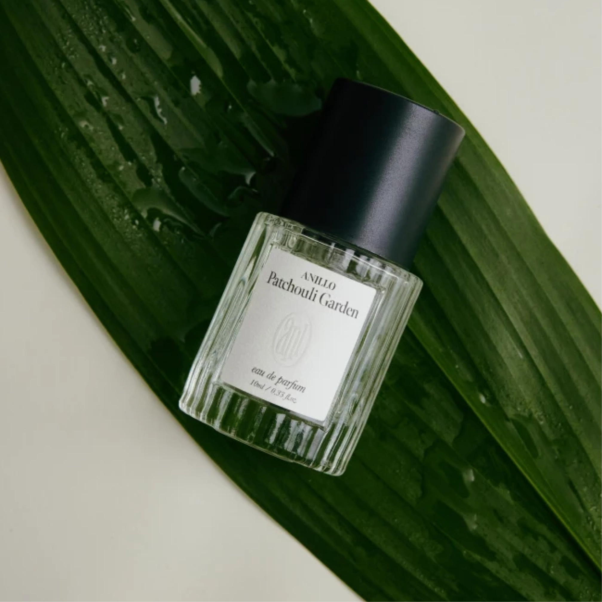 Парфумована вода Patchouli Garden Eau de Parfum ANILLO Обʼєм 10 мл — фото 5