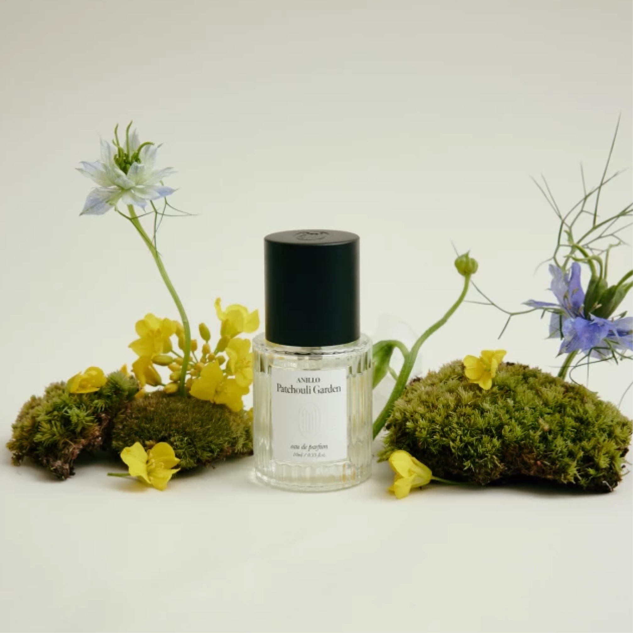 Парфумована вода Patchouli Garden Eau de Parfum ANILLO Обʼєм 10 мл — фото 2