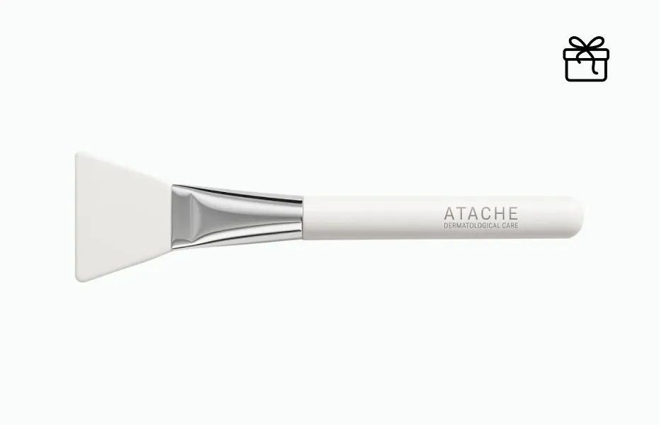 ATACHE